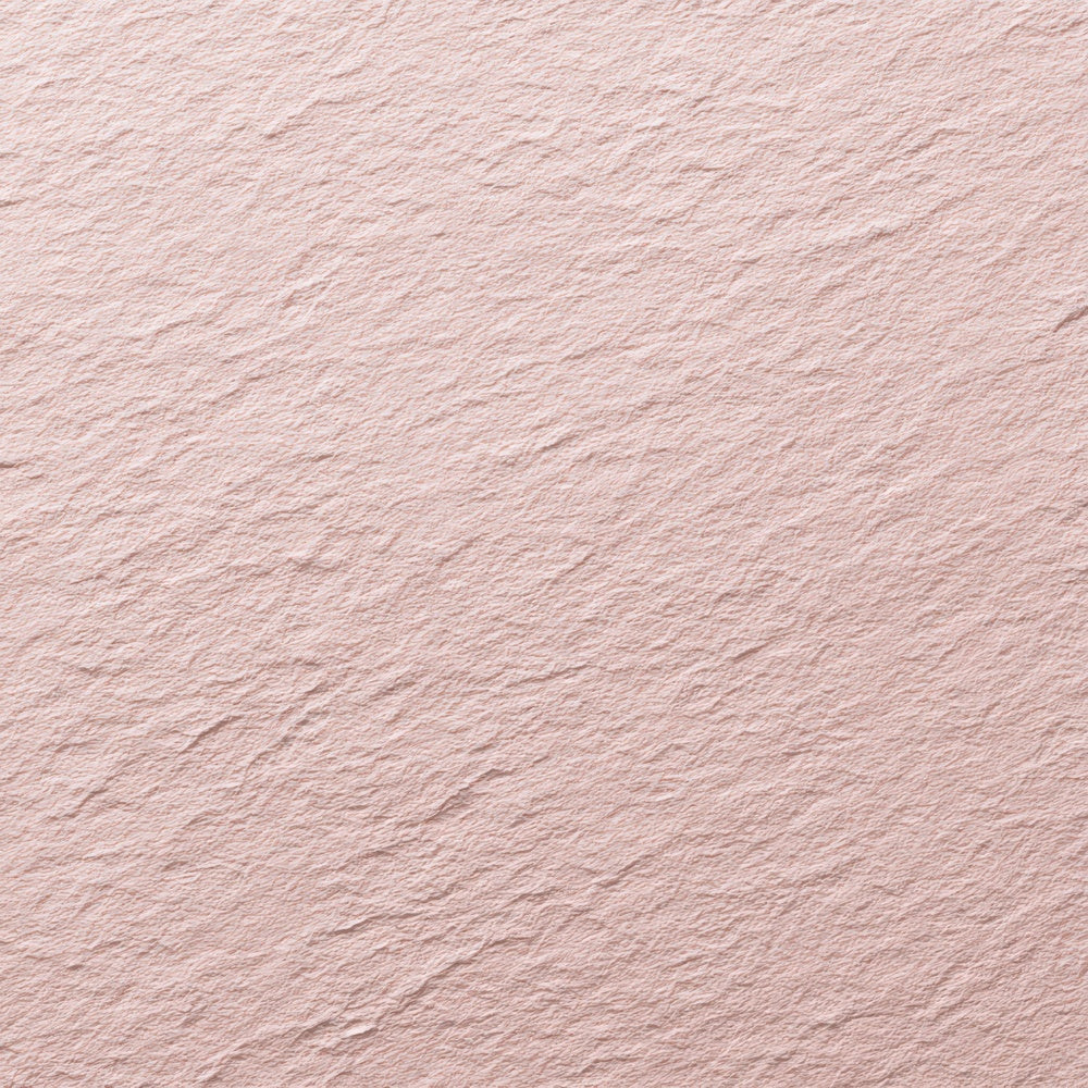 Blush Soft Paper Digital Paper Pack (DDD008814)