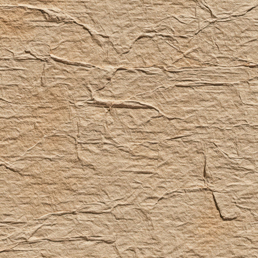 Brown Cardboard Fibre Digital Paper Pack (DDD008155)