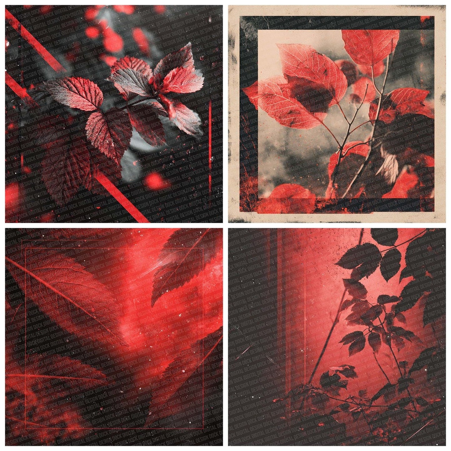 Burn Red Fade Digital Paper Pack (DDD000742)