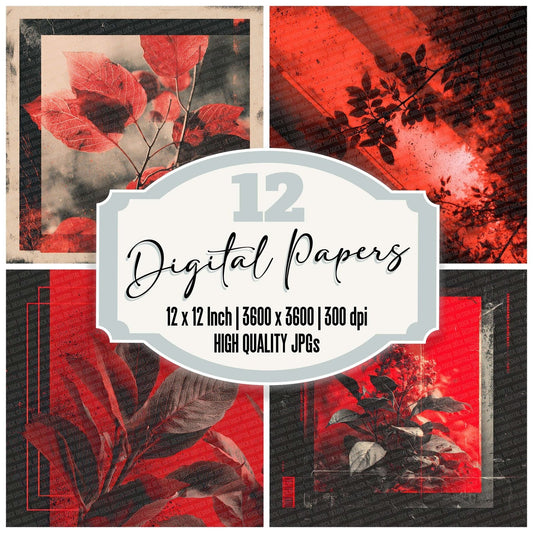 Burn Red Fade Digital Paper Pack (DDD000742)
