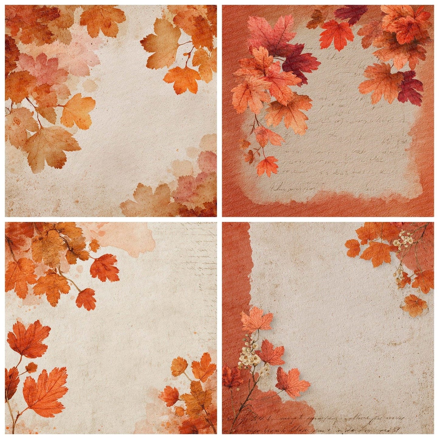 Burnt Autumn Leaf Script Digital Paper Pack (DDD000749)