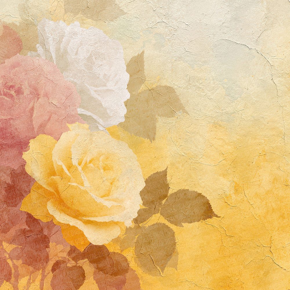 Butter Ivory Bloom Digital Paper Pack (DDD000756)