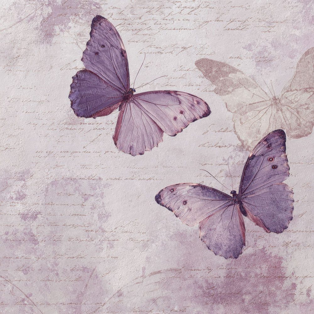Butterfly Wing Study Wash Digital Paper Pack (DDD000765)