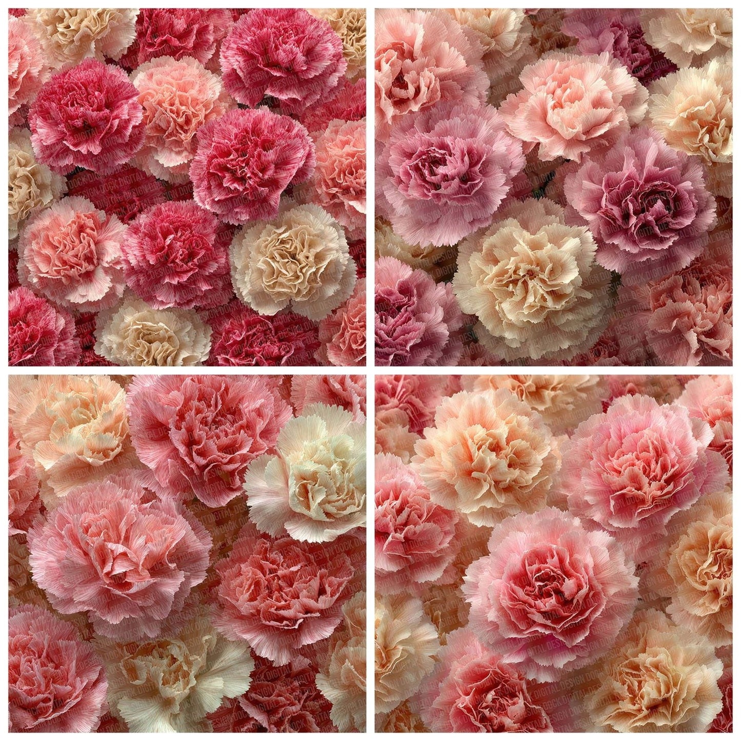 Carnation Overhead Fill Digital Paper Pack (DDD000798)