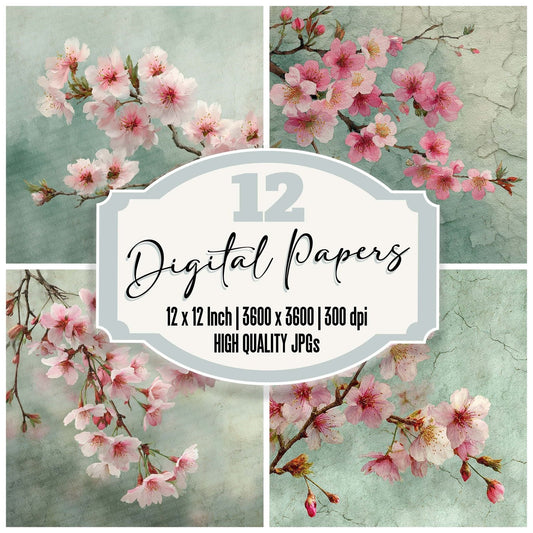 Cherry Blossom Wash Digital Paper Pack (DDD007626)