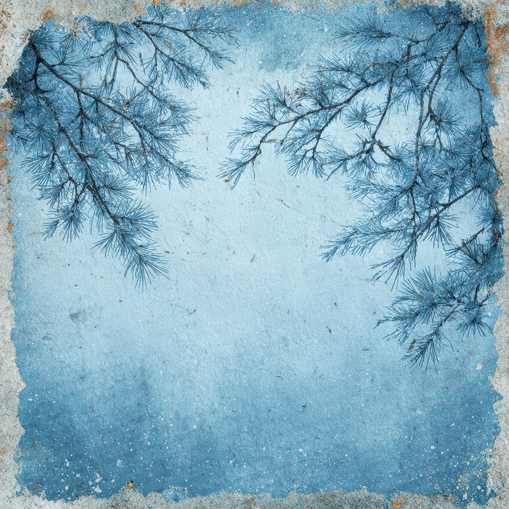Christmas Fir Frost Digital Paper Pack (DDD000910)