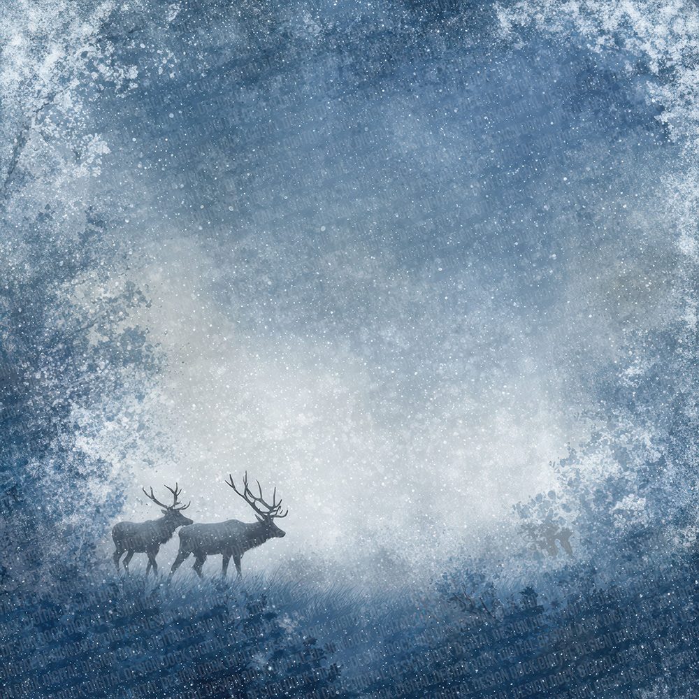 Christmas Reindeer Night Digital Paper Pack (DDD000919)
