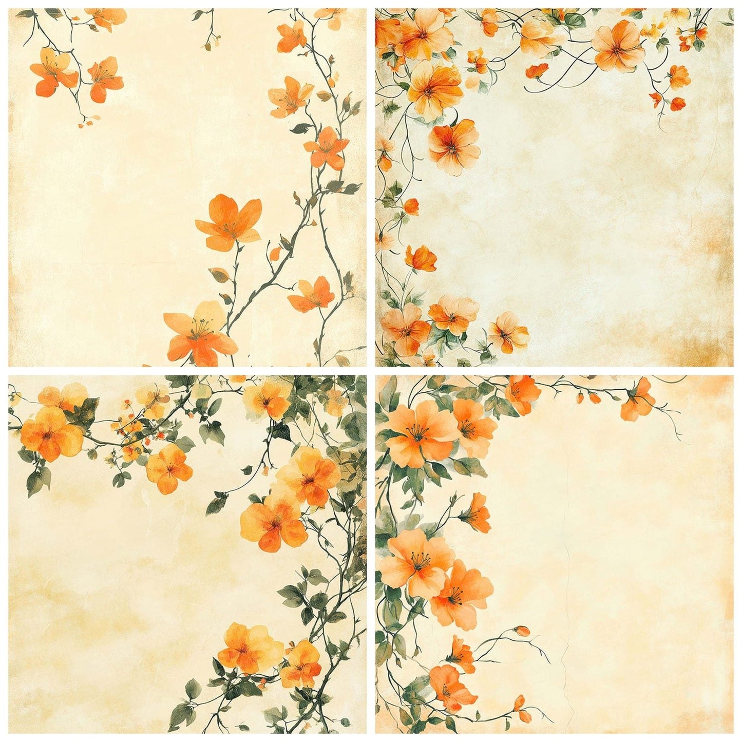 Citrus Blossom Border Digital Paper Pack (DDD000967)