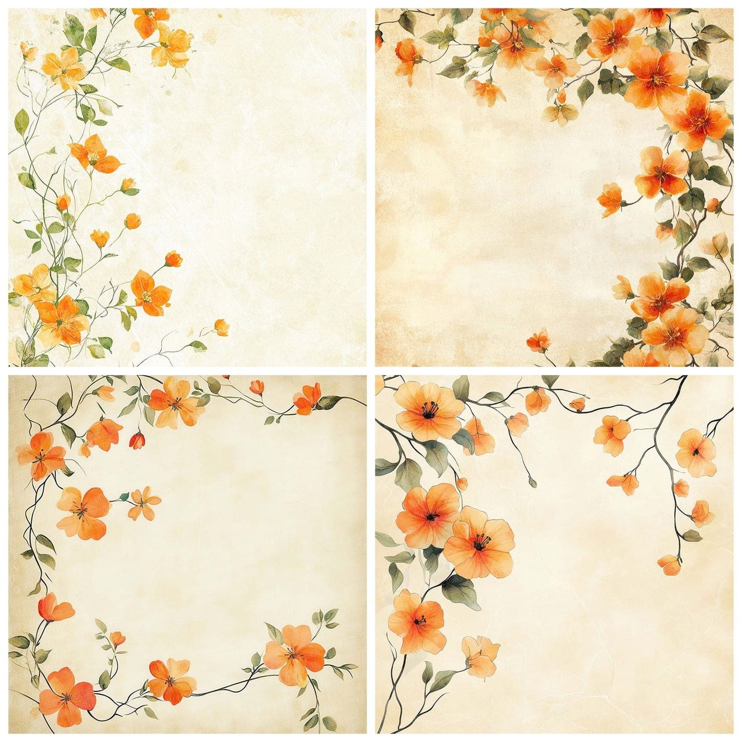 Citrus Blossom Border Digital Paper Pack (DDD000967)