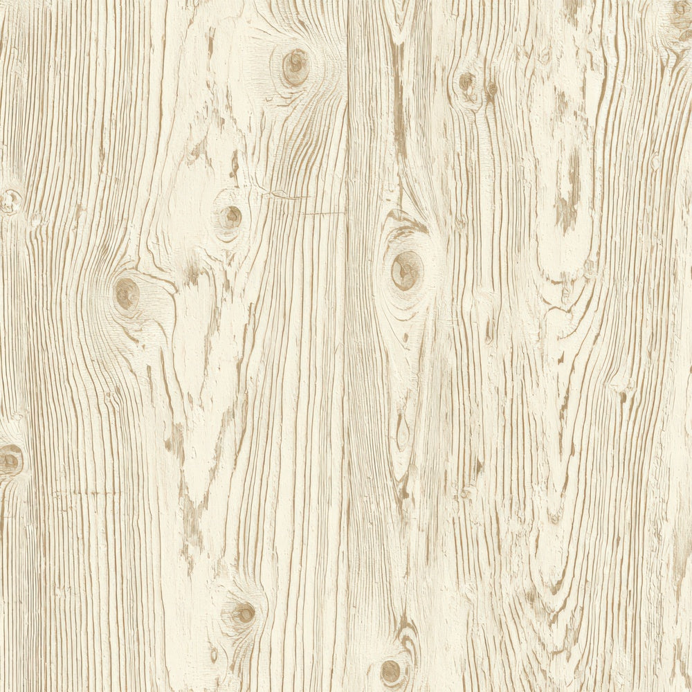 Cream Plywood Knots Digital Paper Pack (DDD008158)