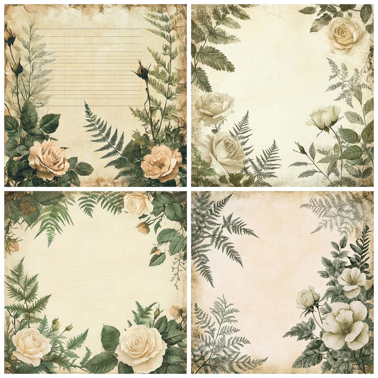 Cream Rose Lined Digital Paper Pack (DDD001326)