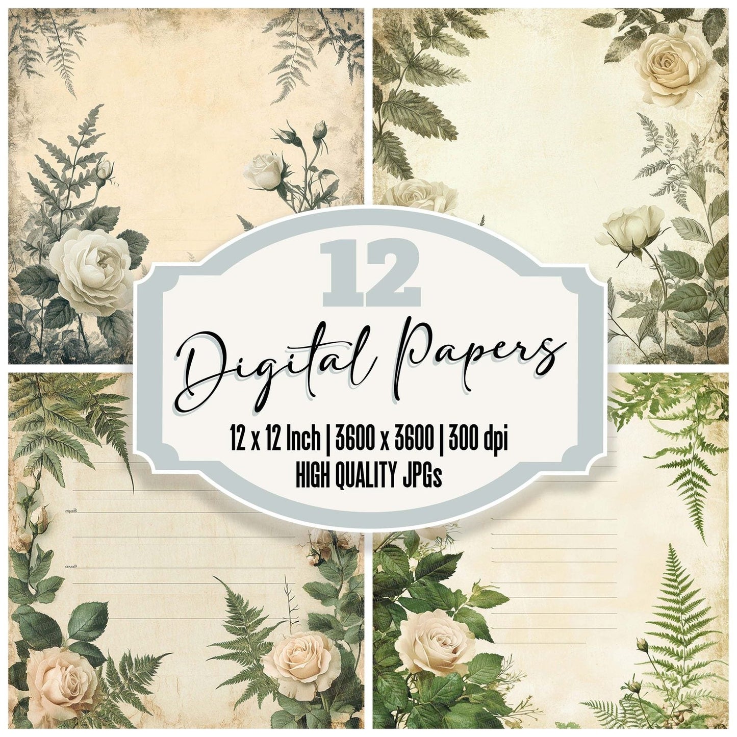 Cream Rose Lined Digital Paper Pack (DDD001326)
