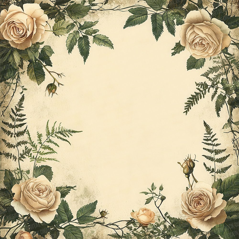 Cream Rose Lined Digital Paper Pack (DDD001326)