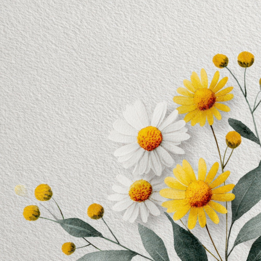 Daisy Floral Border Digital Paper Pack (DDD007874)