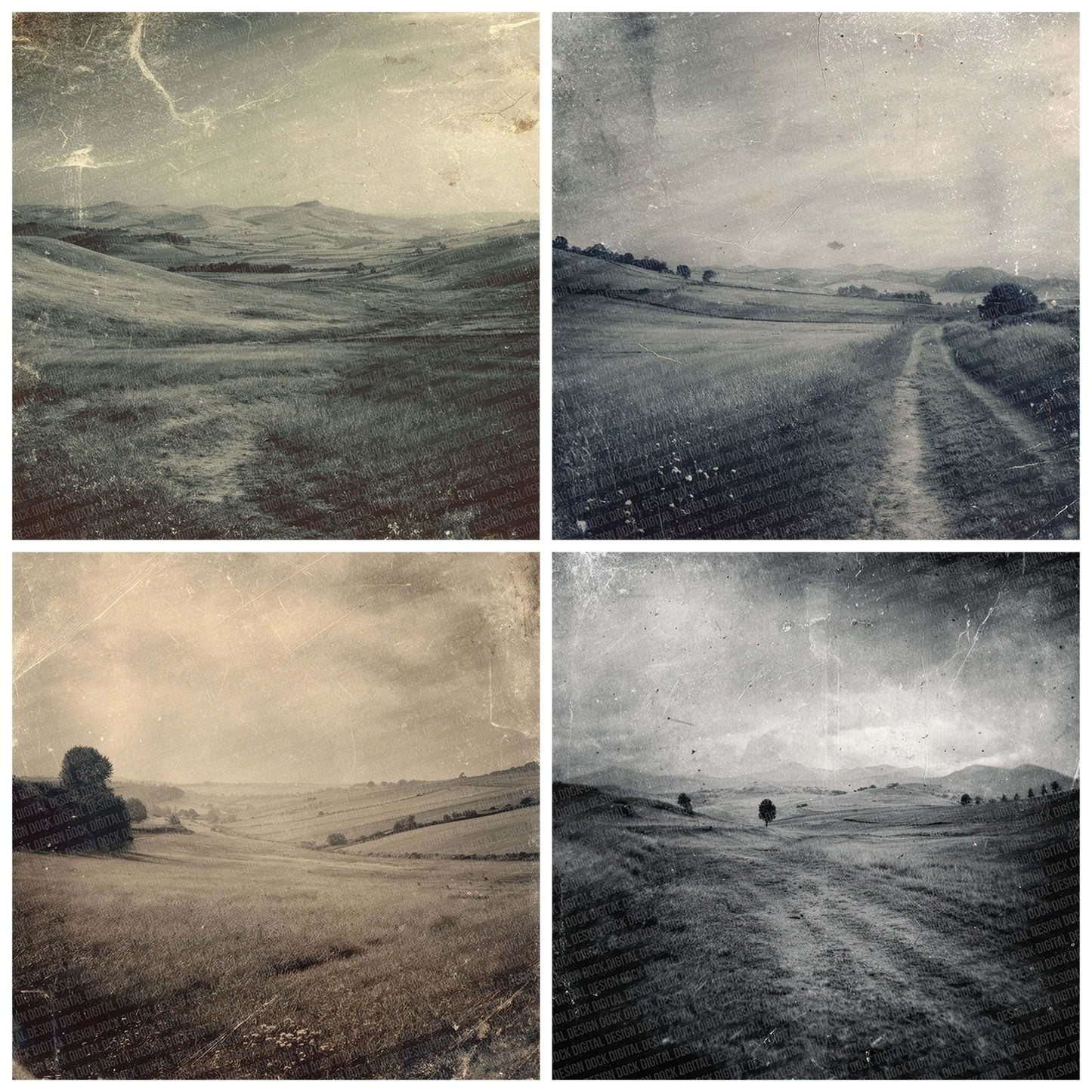 Damaged Countryside Panorama Digital Paper Pack (DDD001389)