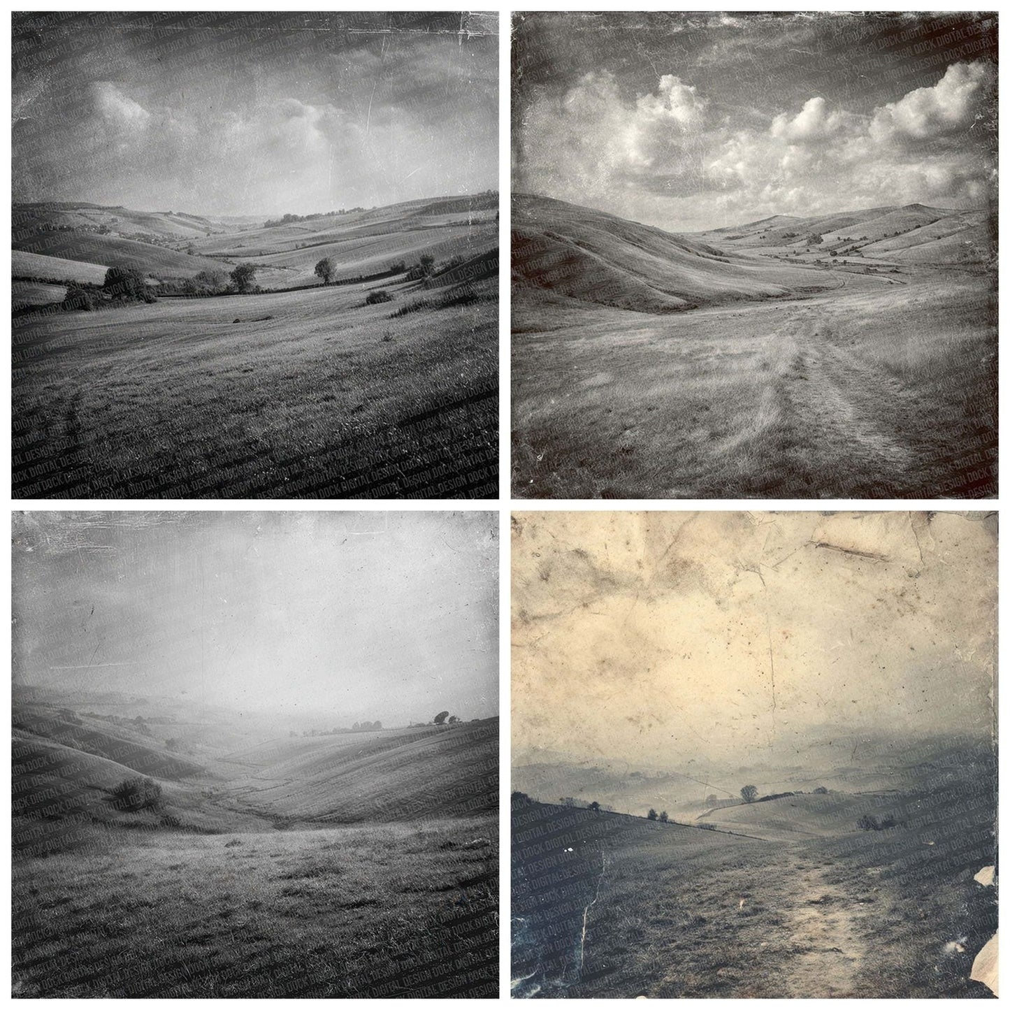 Damaged Countryside Panorama Digital Paper Pack (DDD001389)