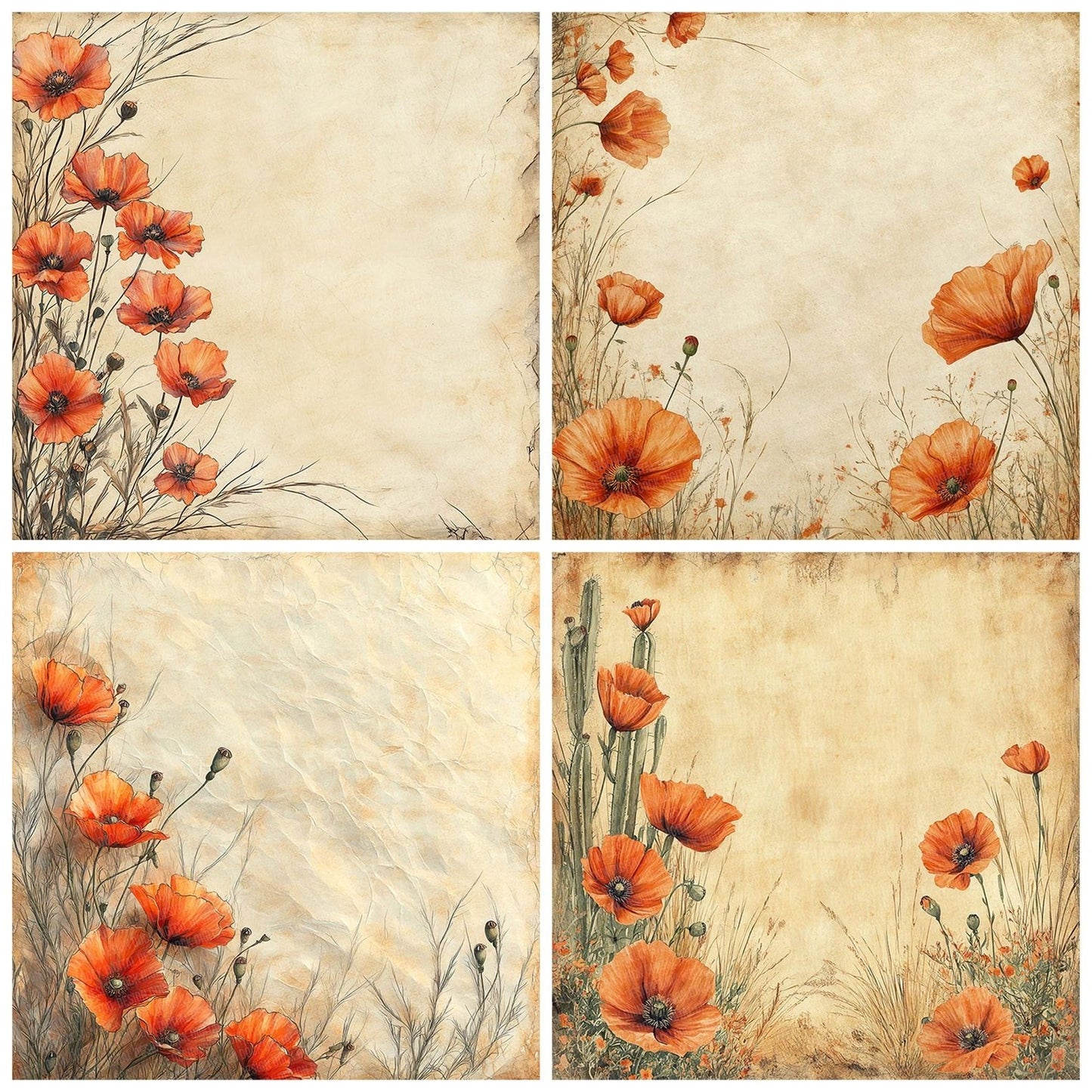 Desert Bloom Lined Digital Paper Pack (DDD001444)