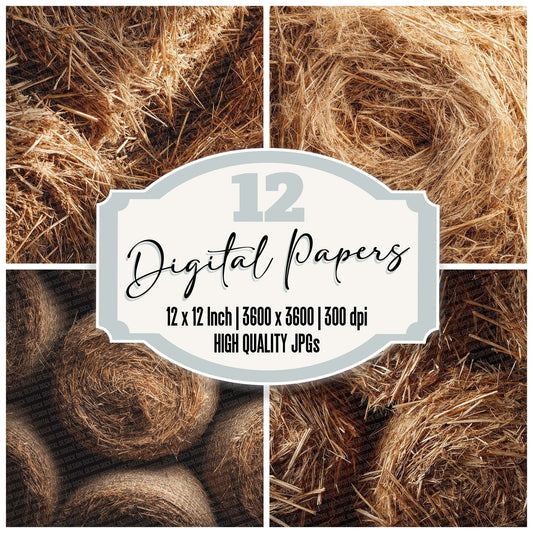 Dry Hay Texture Digital Paper Pack (DDD001510)