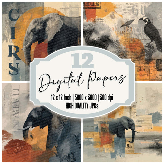 Elephant Circus Journal Digital Paper Pack (DDD001554)