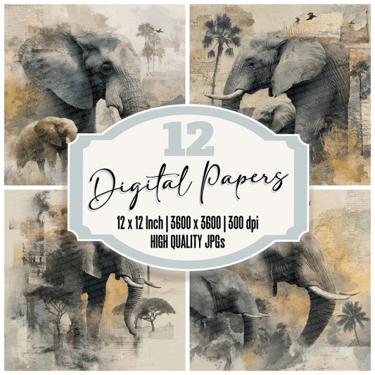 Elephant Safari Paper Digital Paper Pack (DDD001555)