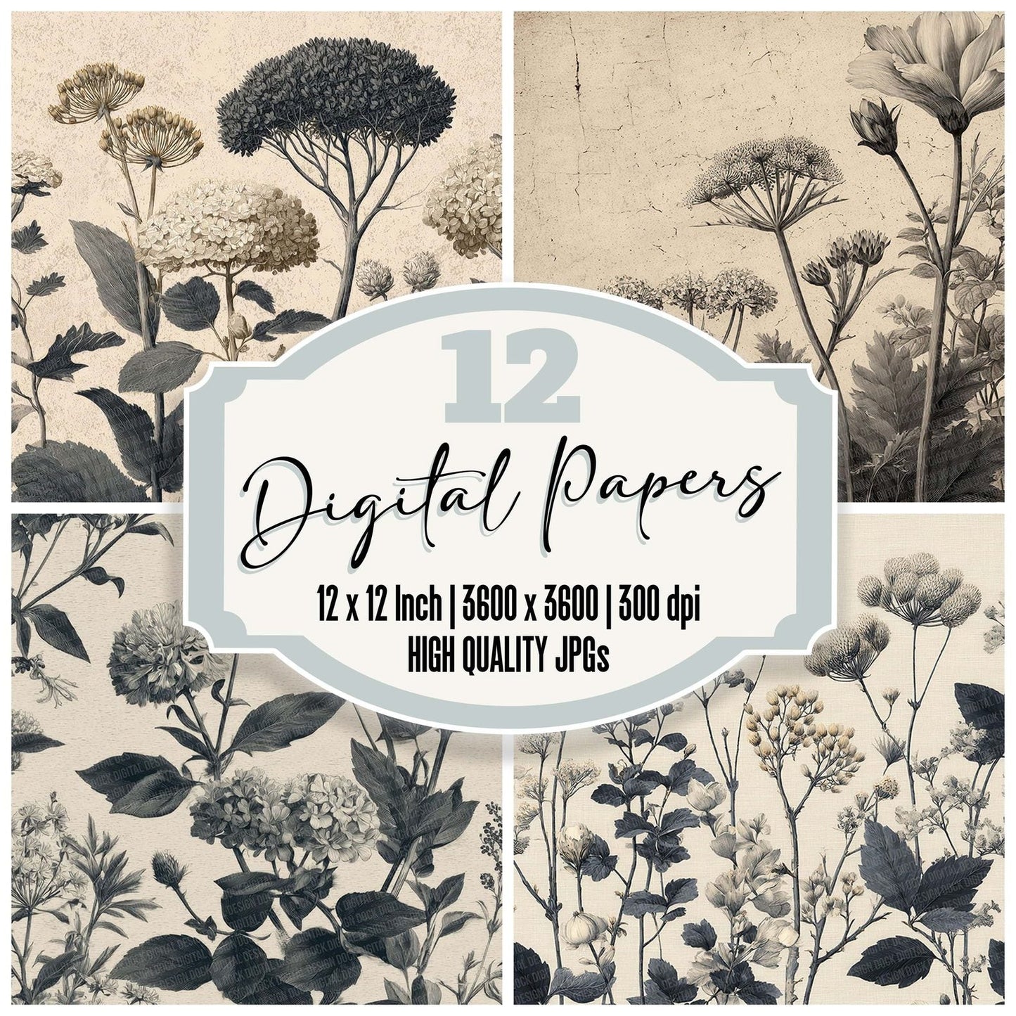 Engraved Botanical Fragments Digital Paper Pack (DDD001604)