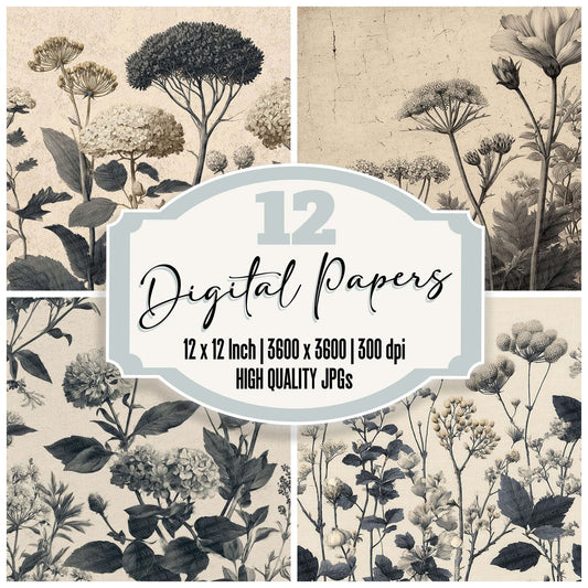 Engraved Botanical Fragments Digital Paper Pack (DDD001604)