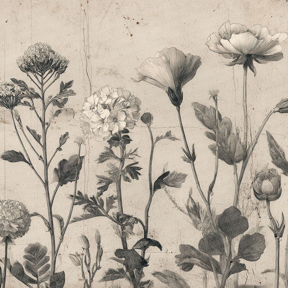 Engraved Botanical Fragments Digital Paper Pack (DDD001604)