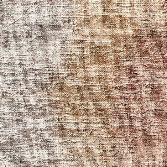 Fabric Canvas Tan Digital Paper Pack (DDD001634)