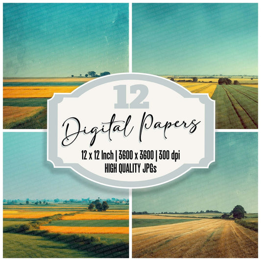 Field Horizon Glare Digital Paper Pack (DDD001701)