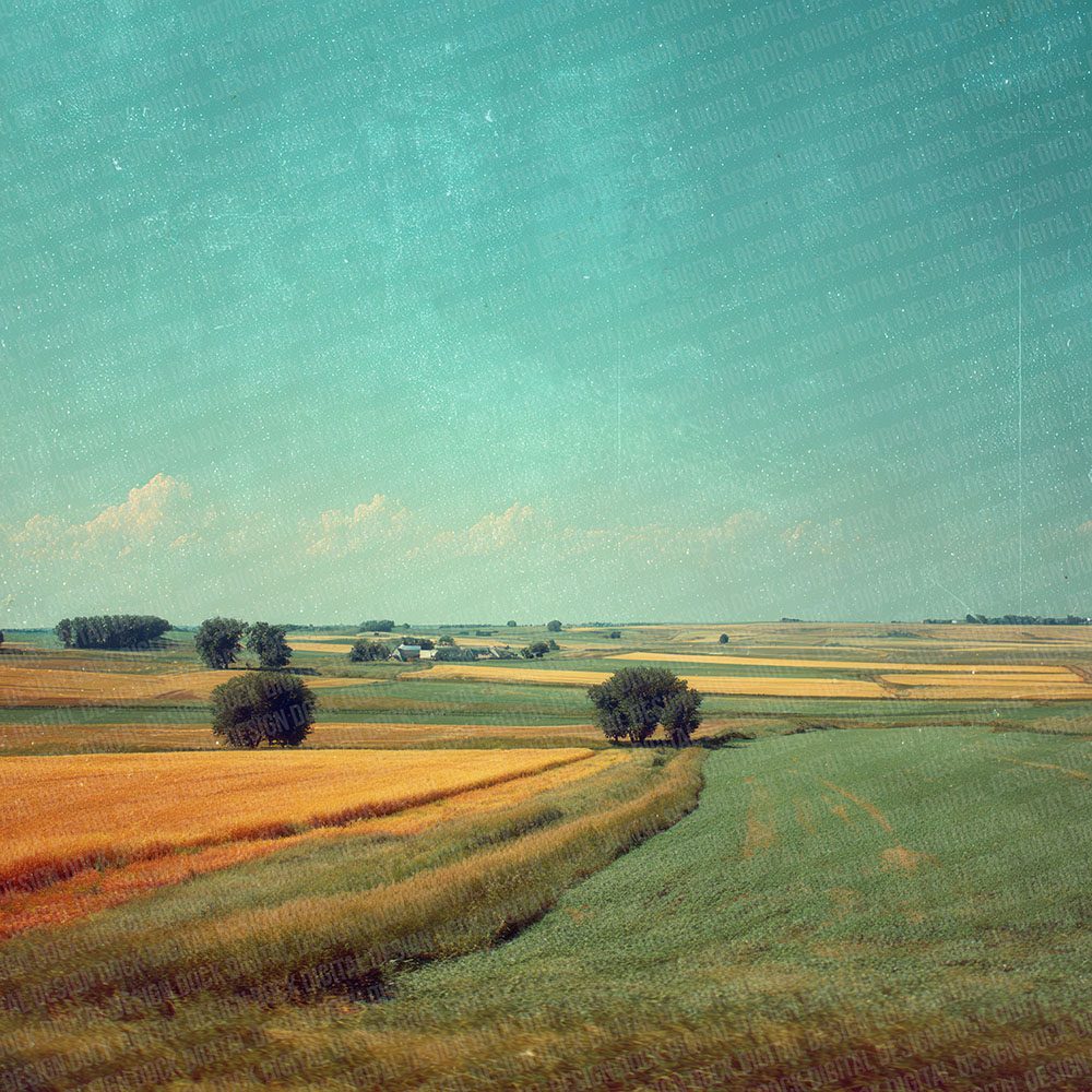 Field Horizon Glare Digital Paper Pack (DDD001701)