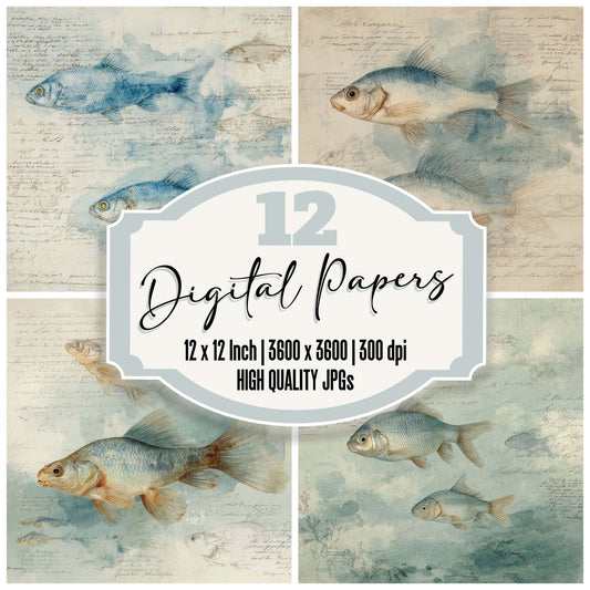 Fish Study Notes Wash Digital Paper Pack (DDD001717)