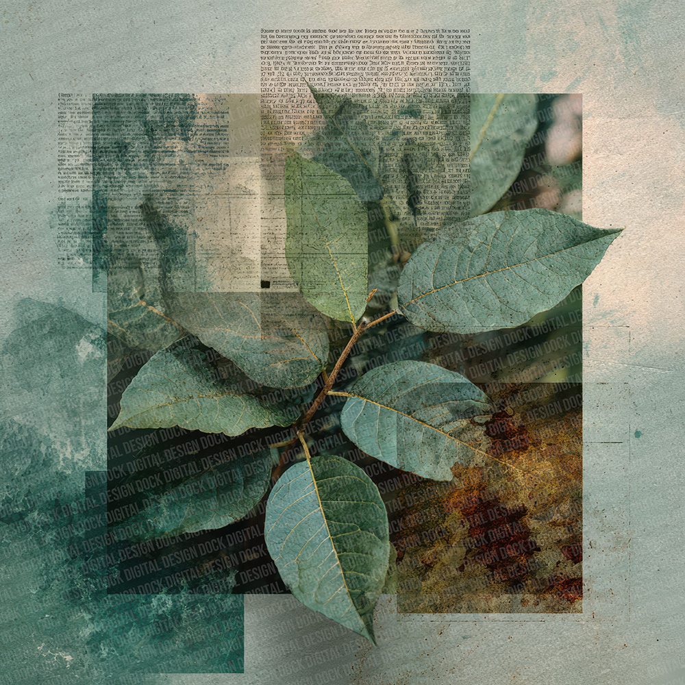 Forest Chestnut Autumn Script Digital Paper Pack (DDD001769)