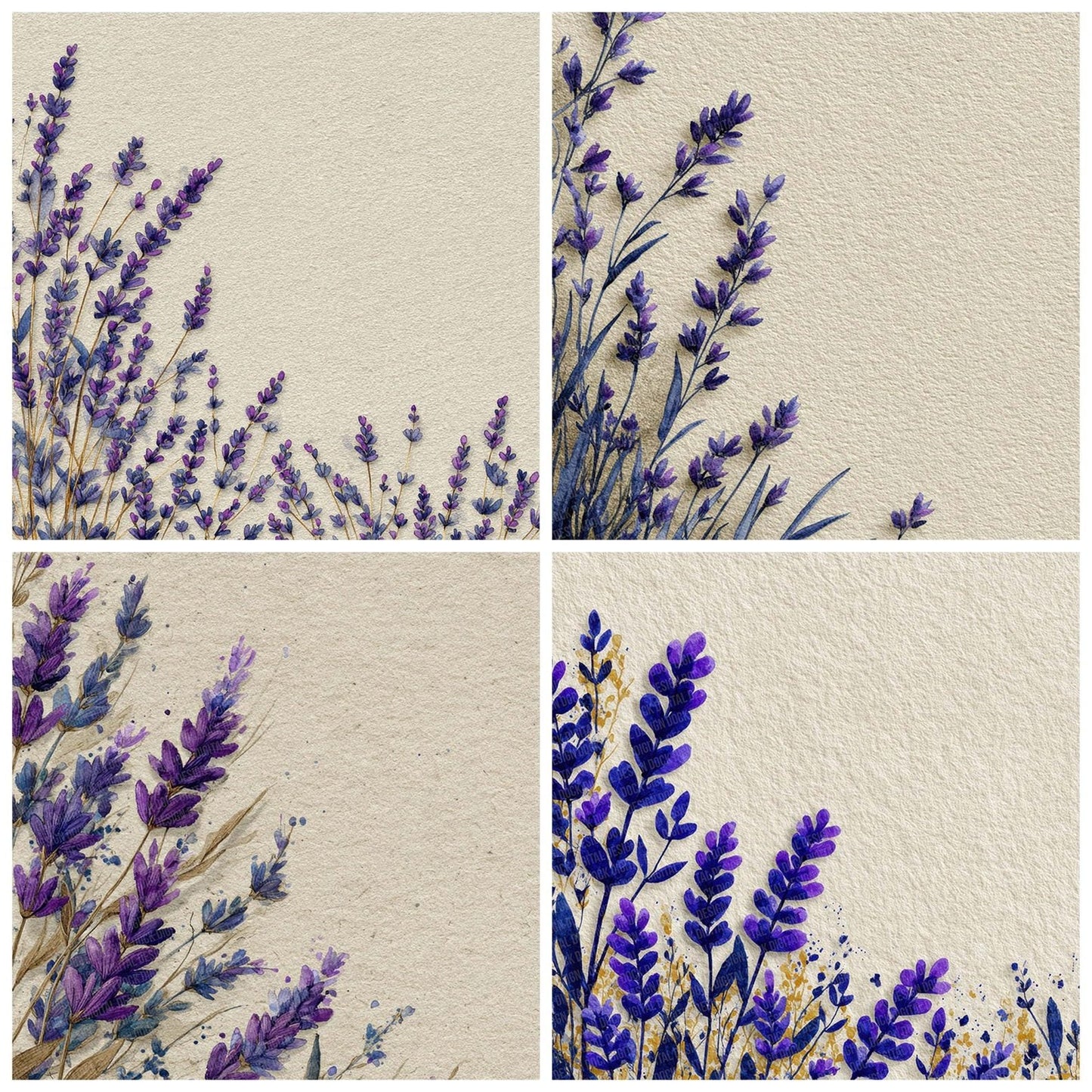 French Lavender Border Digital Paper Pack (DDD001810)