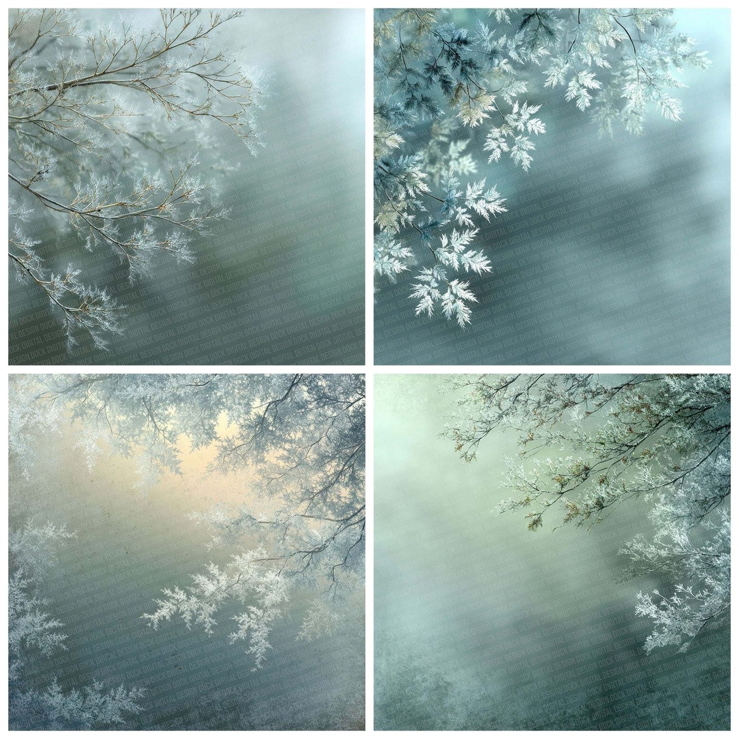 Frost Sage Winter Background Digital Paper Pack (DDD007652)