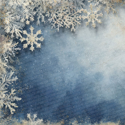 Frost Snowflake Winter Digital Paper Pack (DDD001816)