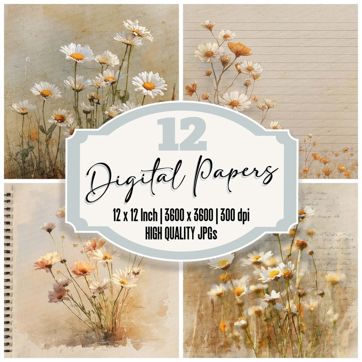 Golden Daisy Field Digital Paper Pack (DDD007655)