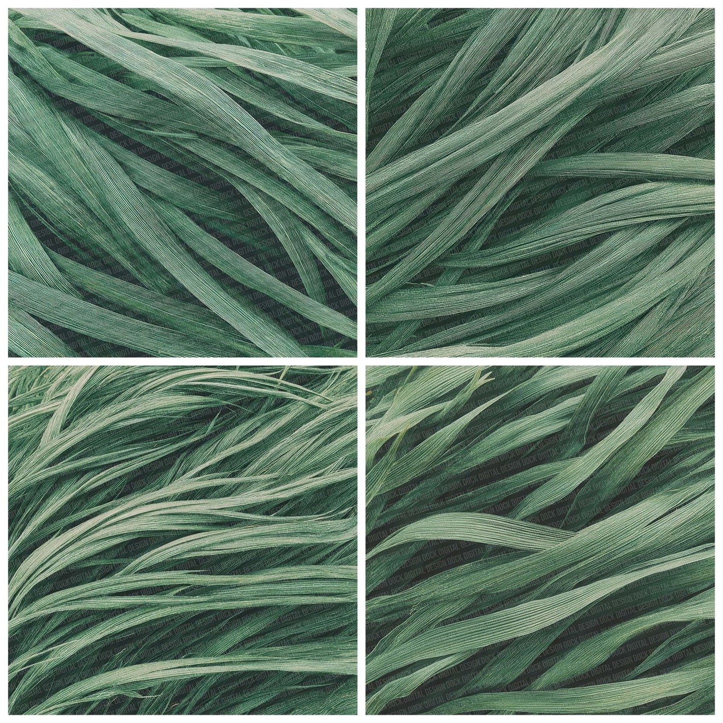 Grass Pattern Digital Paper Pack (DDD001934)