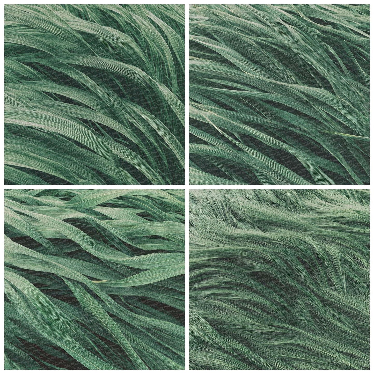 Grass Pattern Digital Paper Pack (DDD001934)