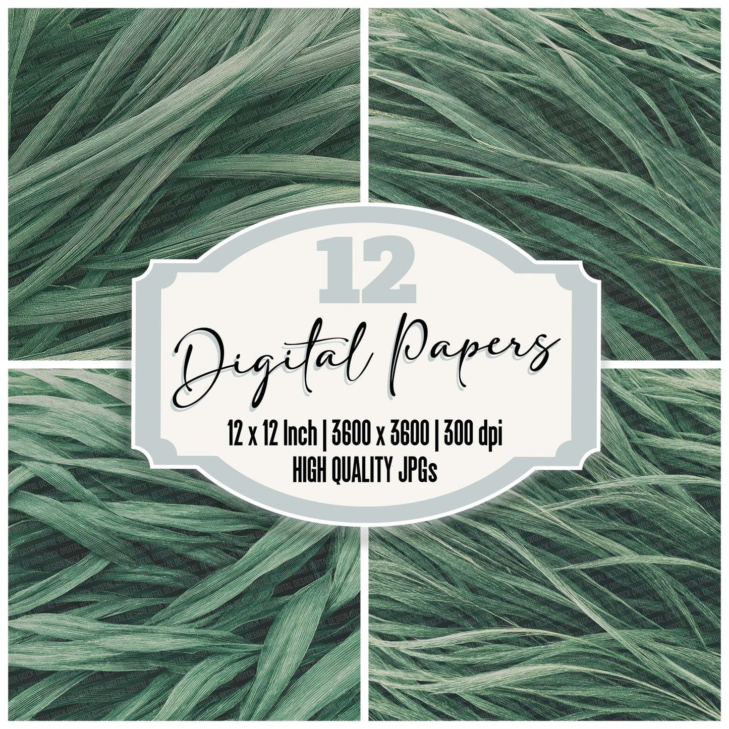 Grass Pattern Digital Paper Pack (DDD001934)