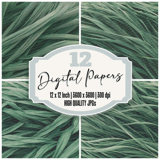 Grass Pattern Digital Paper Pack (DDD001934)