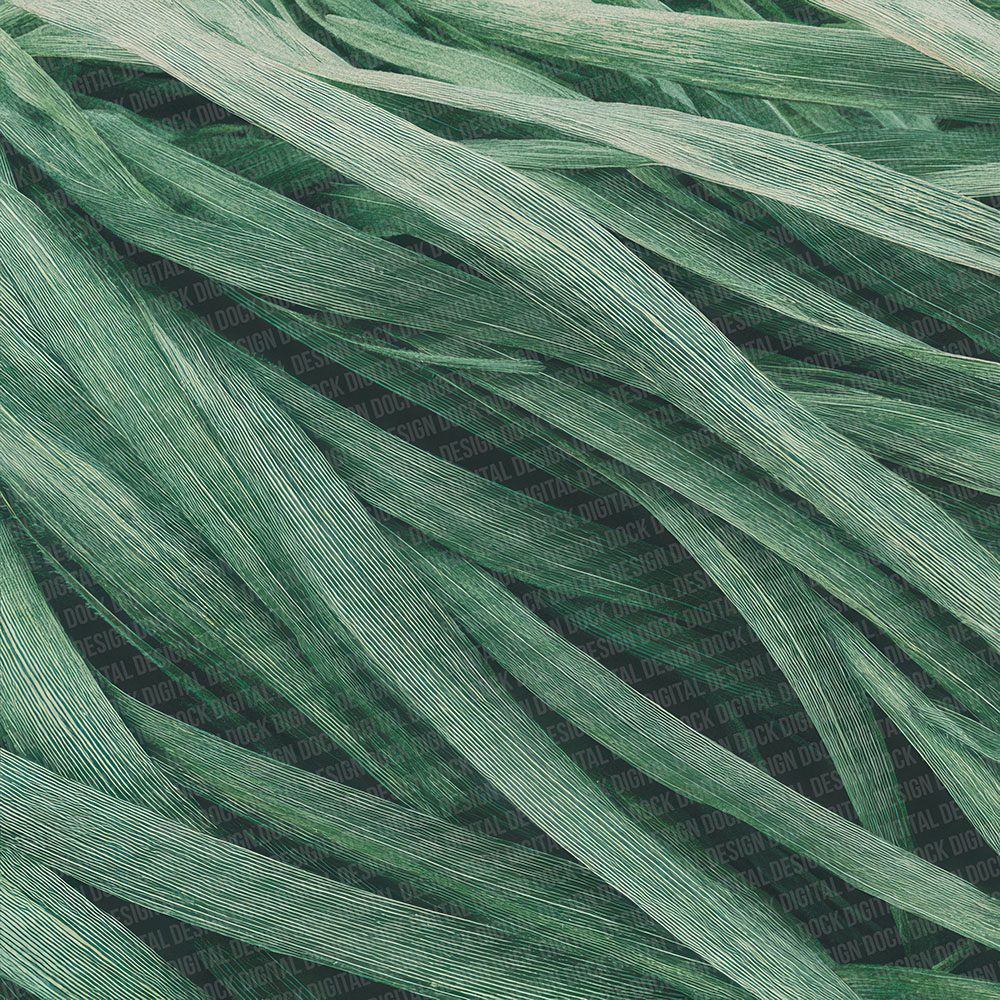 Grass Pattern Digital Paper Pack (DDD001934)