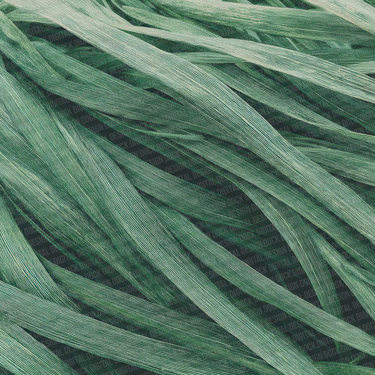 Grass Pattern Digital Paper Pack (DDD001934)