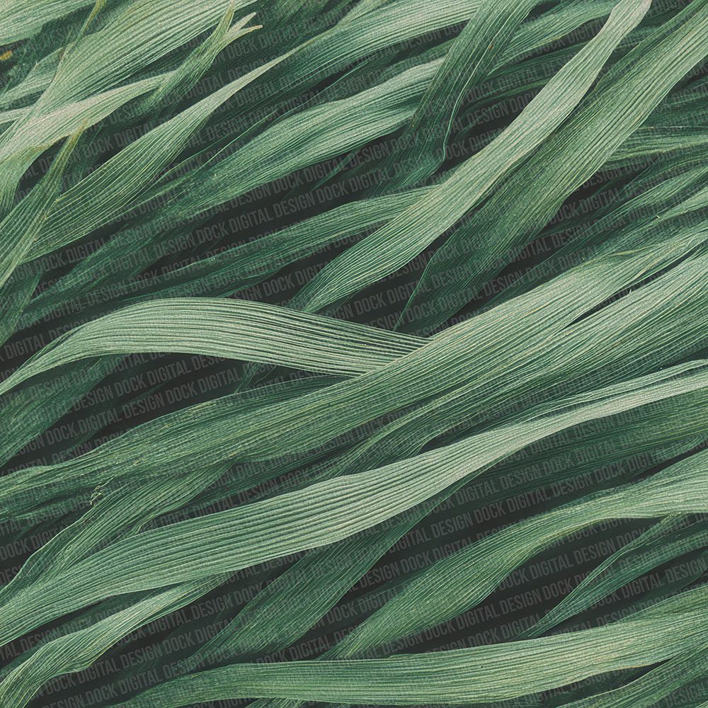 Grass Pattern Digital Paper Pack (DDD001934)