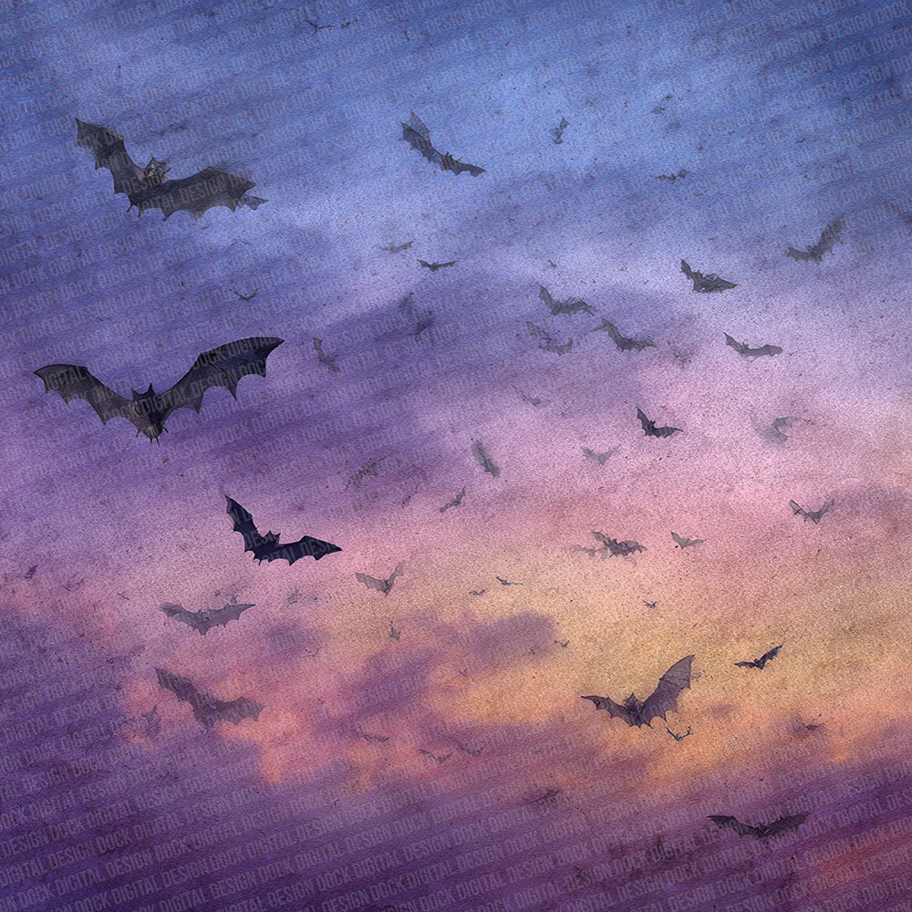 Halloween Bat Sky Digital Paper Pack (DDD001969)