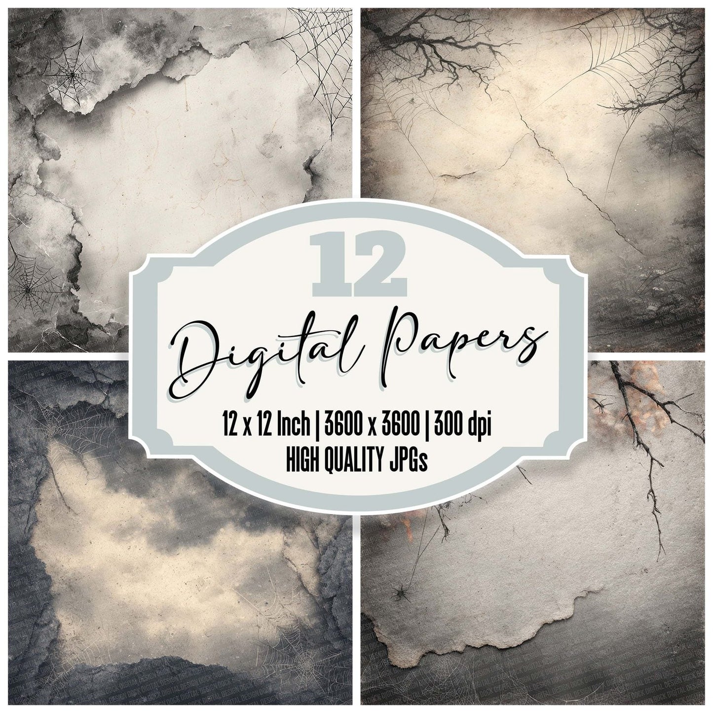 Halloween Charcoal Web Digital Paper Pack (DDD001976)