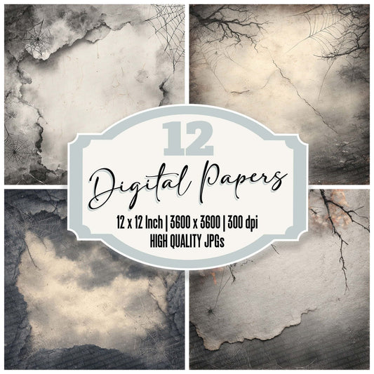 Halloween Charcoal Web Digital Paper Pack (DDD001976)