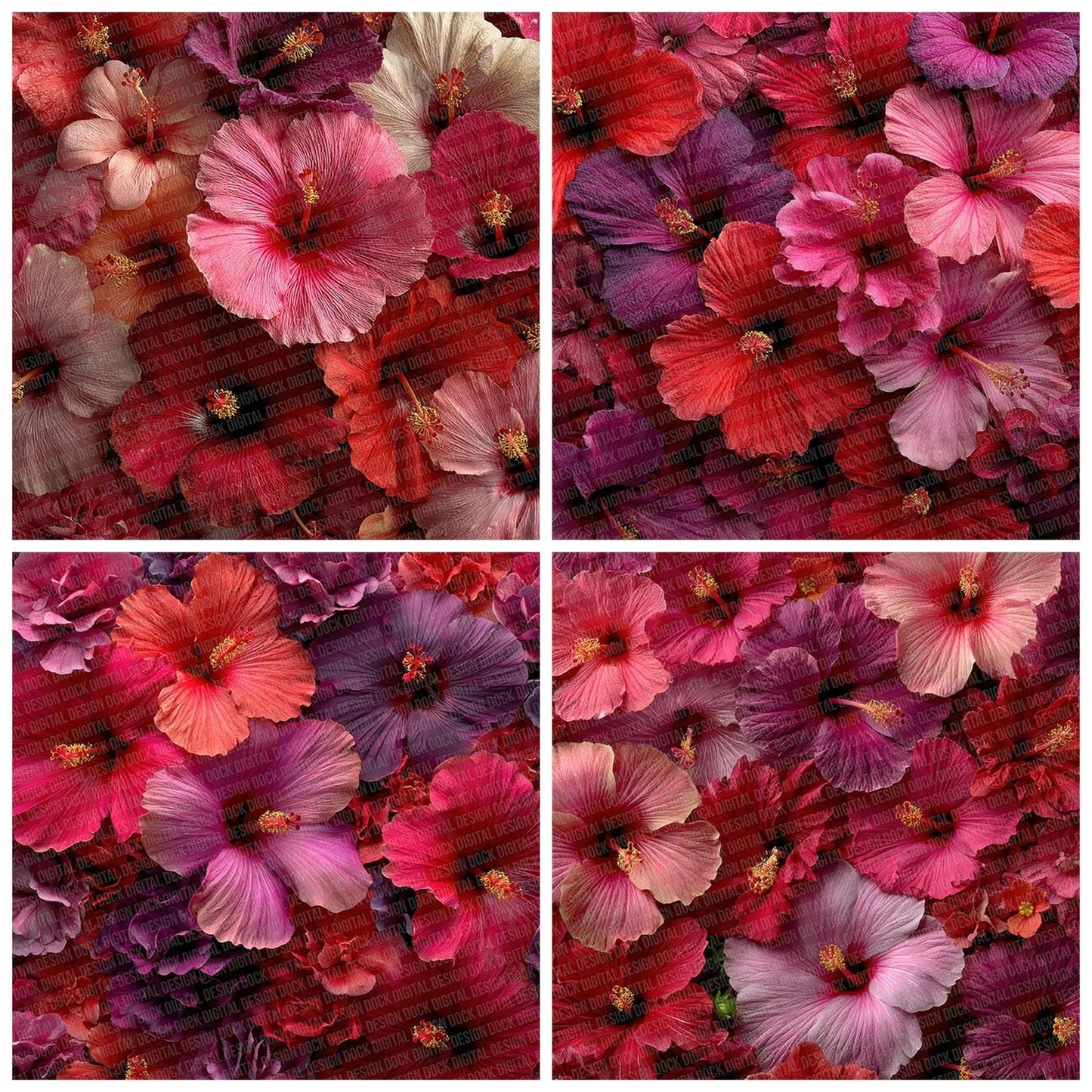 Hibiscus Overhead Fill Digital Paper Pack (DDD002014)