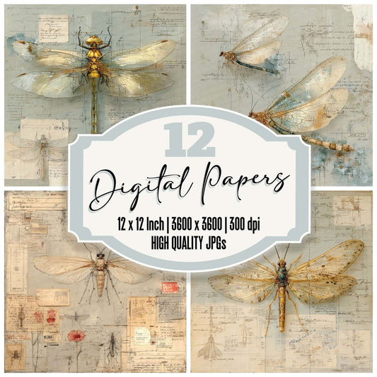 Insect Anatomy Notes Wash Digital Paper Pack (DDD002142)
