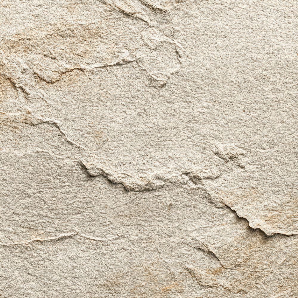 Ivory Deckle Texture Digital Paper Pack (DDD002168)