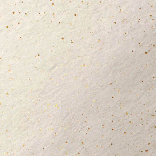 Ivory Gold Dust Digital Paper Pack (DDD008795)